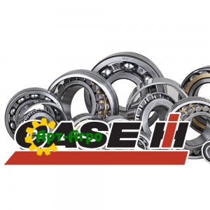 Підшипники CNH