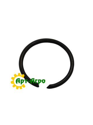 123763A1 Кольцо стопорное CNH