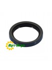 POS250343TA-S PEER oil seal