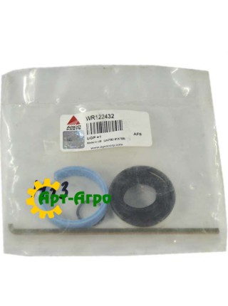 WR122432 Zestaw naprawczy cylindra hydraulicznego Massey Ferguson (AGCO PARTS)