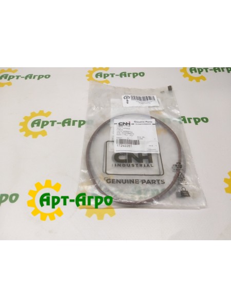 17292281 O-ring CNH