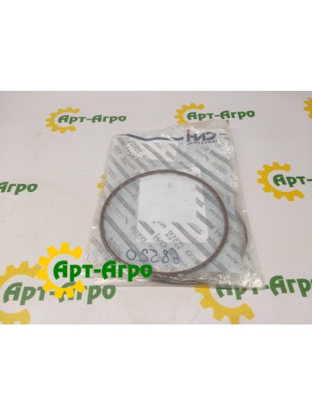 17291881 O-ring CNH