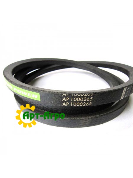 AP1000265 Pas napędowy Optibelt