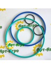 AZ101278 John Deere Seal Kit