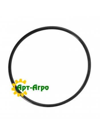381895 O-ring CNH