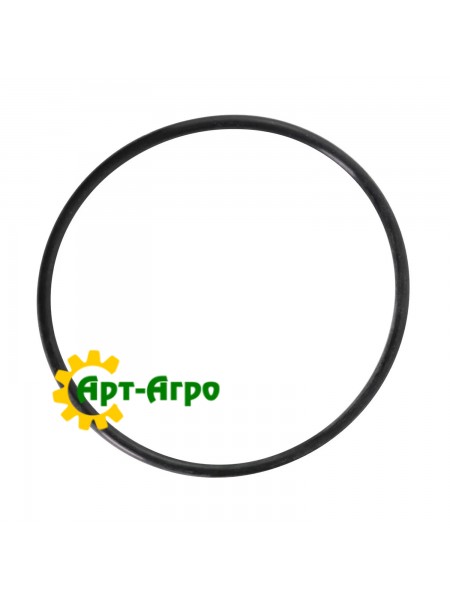 381895 O-ring CNH