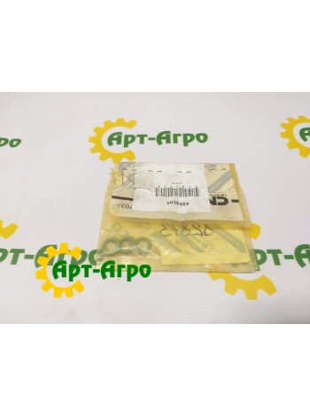 4894095 Кільце CNH