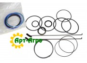 AH176572 Zestaw naprawczy siłownika hydraulicznego JOHN DEERE