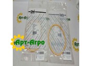 247881A1 Кольцо уплотнительное CNH