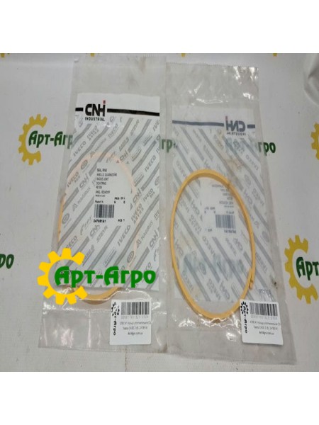 247881A1 Кольцо уплотнительное CNH