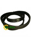 440498A3 Pas dwupasmowy CNH