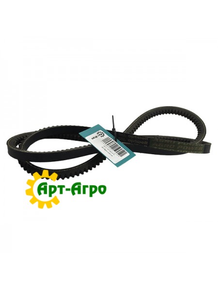 AP1002570 Pas Optibelt