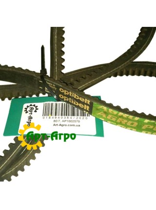 AP1002570 Pas Optibelt