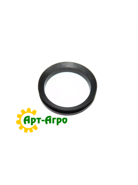 1347432C2 Uszczelka olejowa CNH
