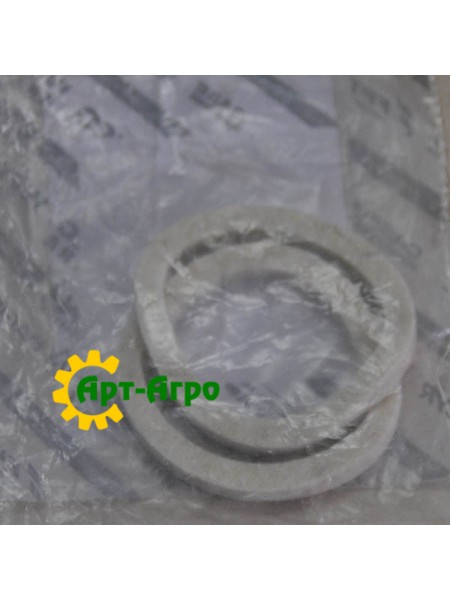 220012 Уплотнительное кольцо (к-кт 2шт) CNH