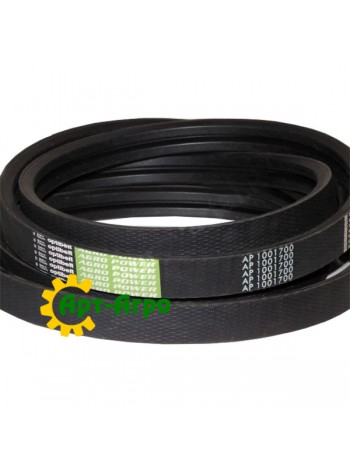 AP1001700 Optibelt