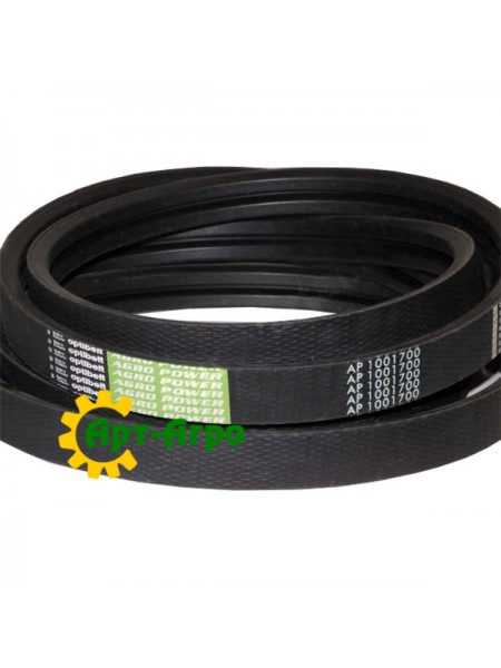 AP1001700 Optibelt