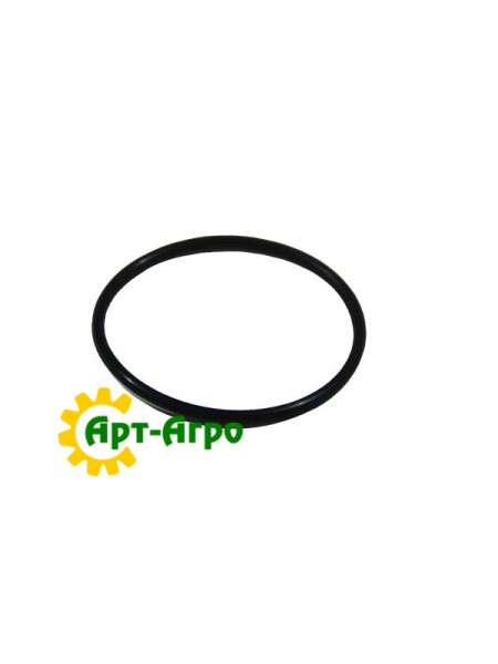 R124447 Uszczelniacz olejowy John Deere