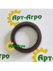 428159A1 Uszczelka CNH