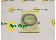 196693H1 Retaining ring CNH