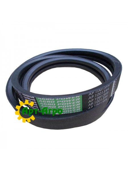 AP1001599 Pasek dwupętlowy Optibelt
