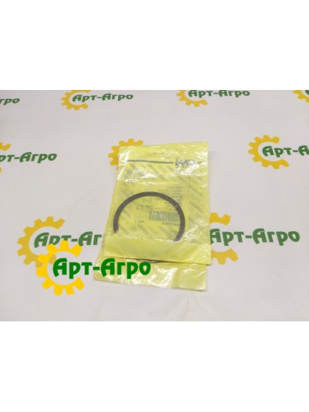 101-11275 Кільце стопорне CNH