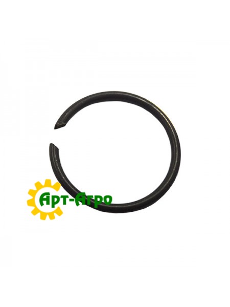 123763A1 Кольцо стопорное CNH