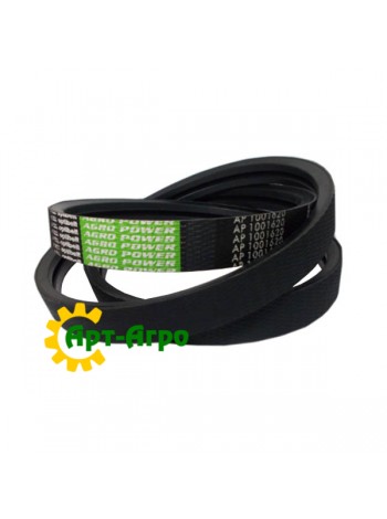 AP1001620 Pas dwukierunkowy Optibelt