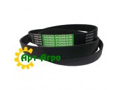 AP1002668 Багатострумковий ремінь Optibelt