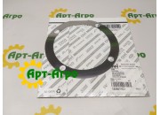 1286071C1 Adjustable gasket (0.08) CNH