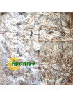 60H-1 Цепь RENOLD