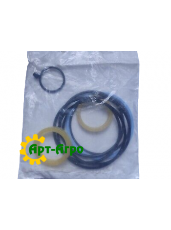 RE36975 Zestaw naprawczy cylindra hydraulicznego John Deere