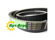 AP1001079 Pasek zębaty OPTIBELT