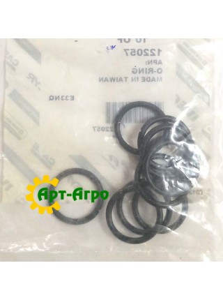 122057 Кольцо уплотнительное CNH