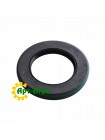 192527C1 Oil seal CNH