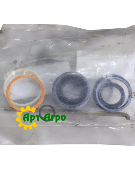 WR122431 Zestaw naprawczy cylindra hydraulicznego Massey Ferguson (AGCO PARTS)