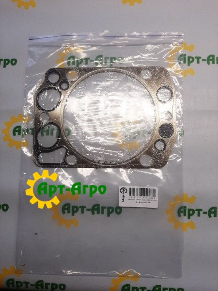 61-25105-15 Zestaw uszczelek Victor Reinz