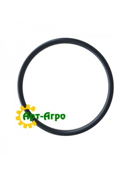 52419 Кільце (без пакування) CNH