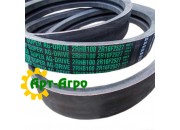 2rhb100 Pasek dwukierunkowy Carlisle