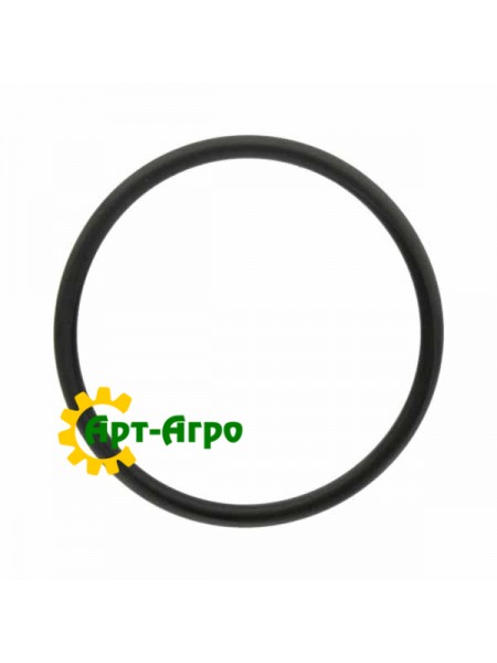 R519989 Кільце ущільнювача John Deere