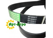 AP1003217 Pasek wielorowkowy Optibelt