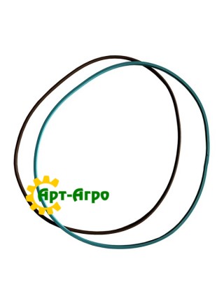 5172302 O-ring CNH