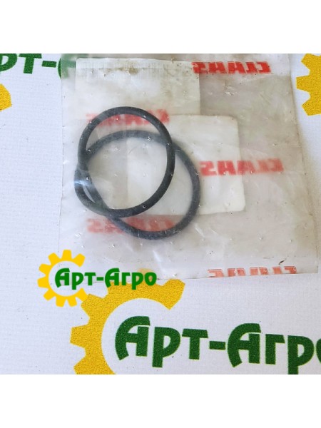 0018199950 Кільце ущільнювальне Claas