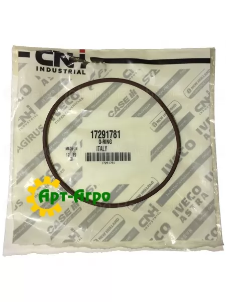 17291781 CNH water pump seal ring