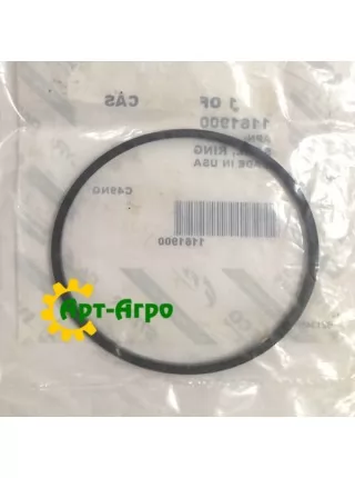 1161900 Ущільнення CNH