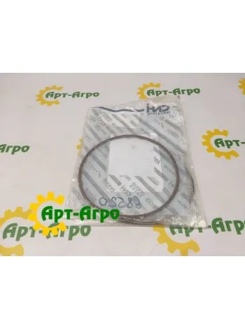 17291881 кільце ущільнювальне CNH