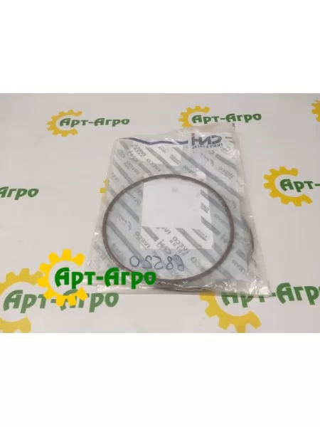 17291881 кольцо уплотнительное CNH