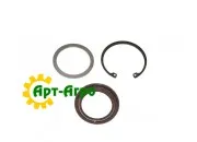 403145A1 Uszczelka olejowa CNH