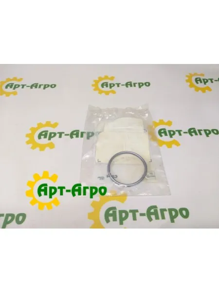 42549209 Кільце ущільнювальне CNH