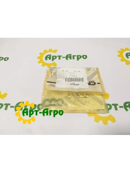 4894095 Ring CNH